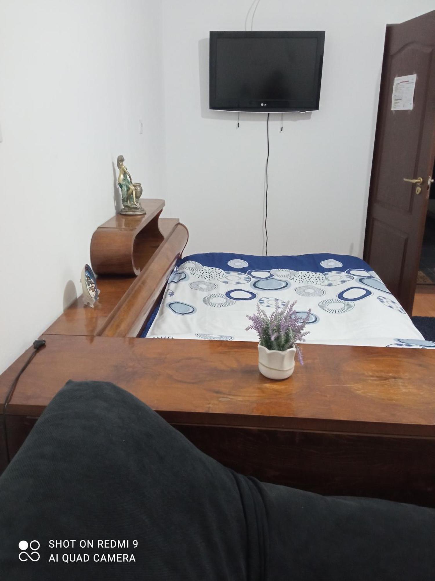 Pensiunea Dodo Patarlagele Room photo